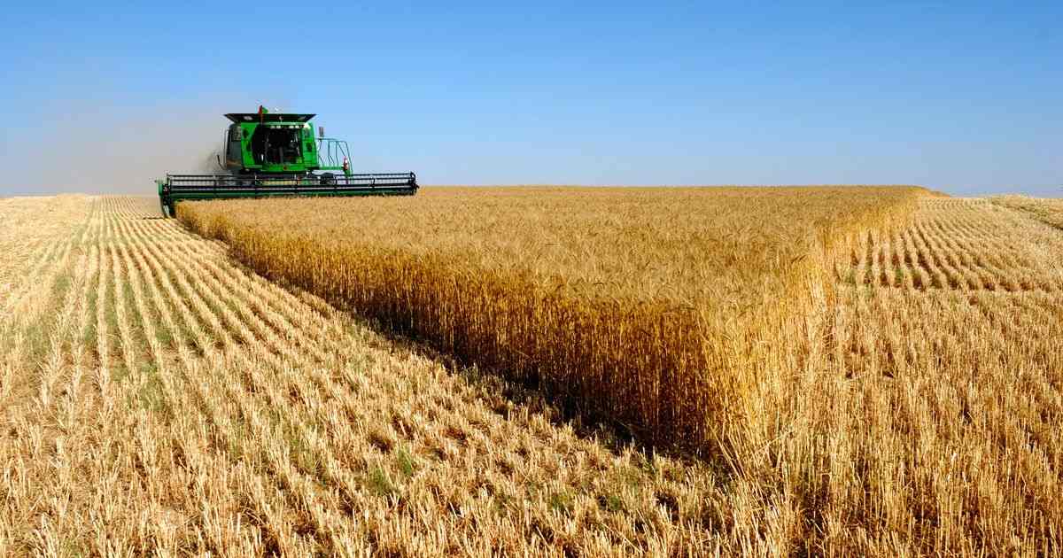В Приангарье за полугодие вырос объем валовой продукции в сельском хозяйстве