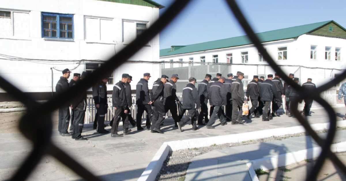 Пытки в тюрьмах: парламентского расследования не будет, «Единая Россия» против